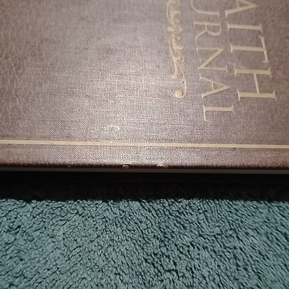 Faith Journal diary hardcover note book 176 pages Daily Bible Reading Christian