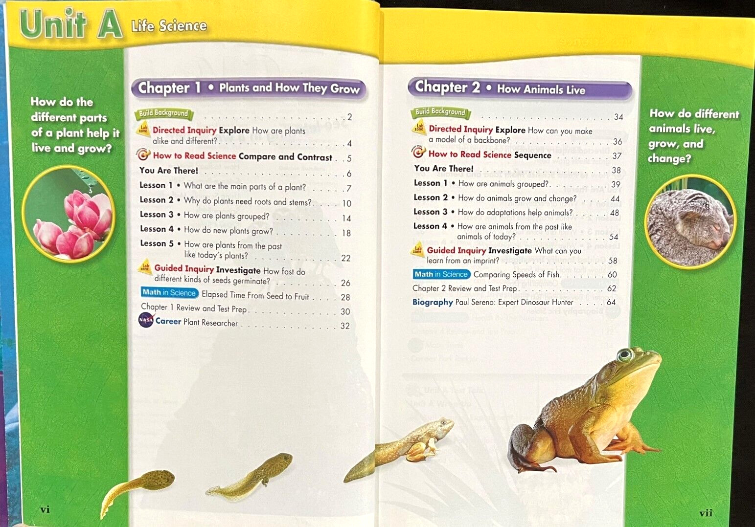 3rd Grade – Scott Foresman SCIENCE (STUDENT TEXTBOOK) (2006, Pearson)