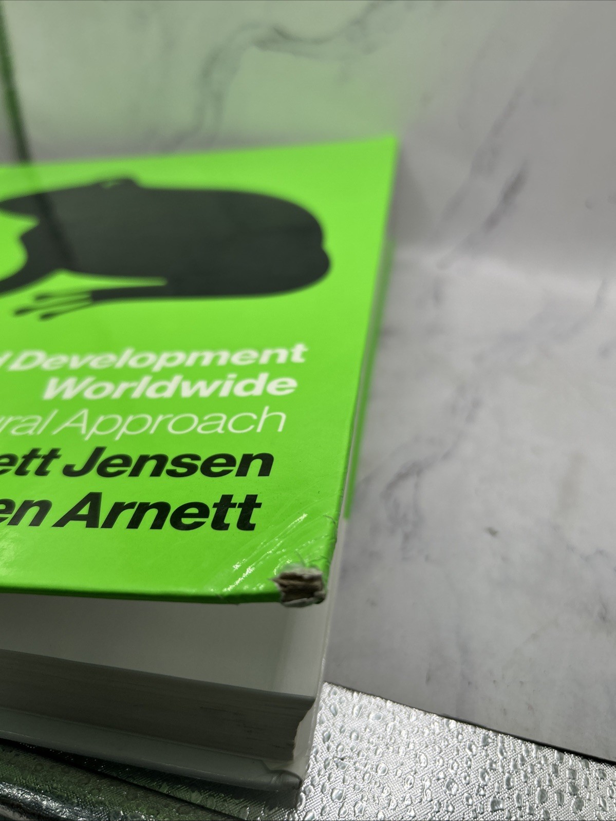 Child Development Worldwide : A Cultural Approach by Jeffrey Jensen Arnett…