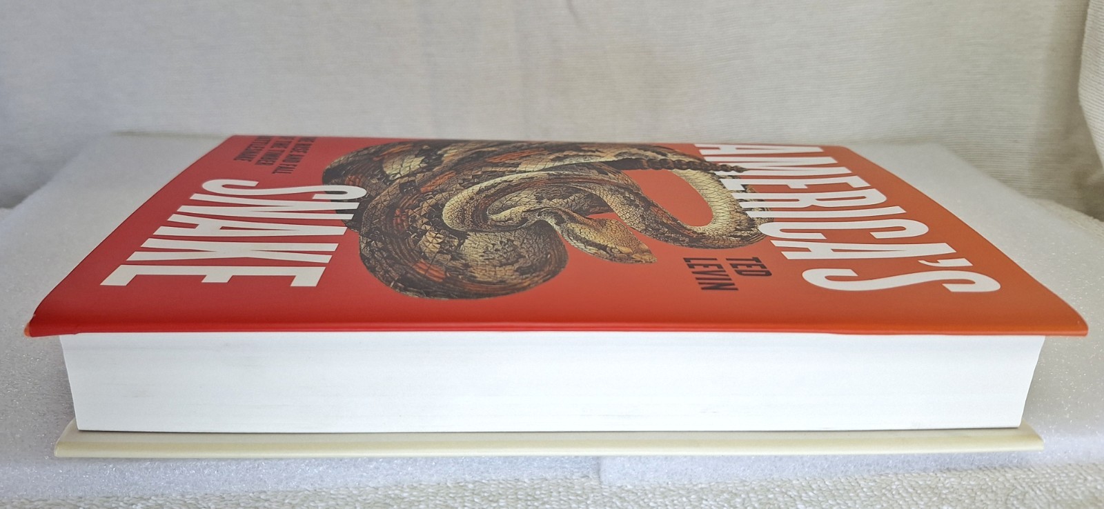 America’s Snake : The Rise and Fall of the Timber Rattlesnake Ted – 1st Edition