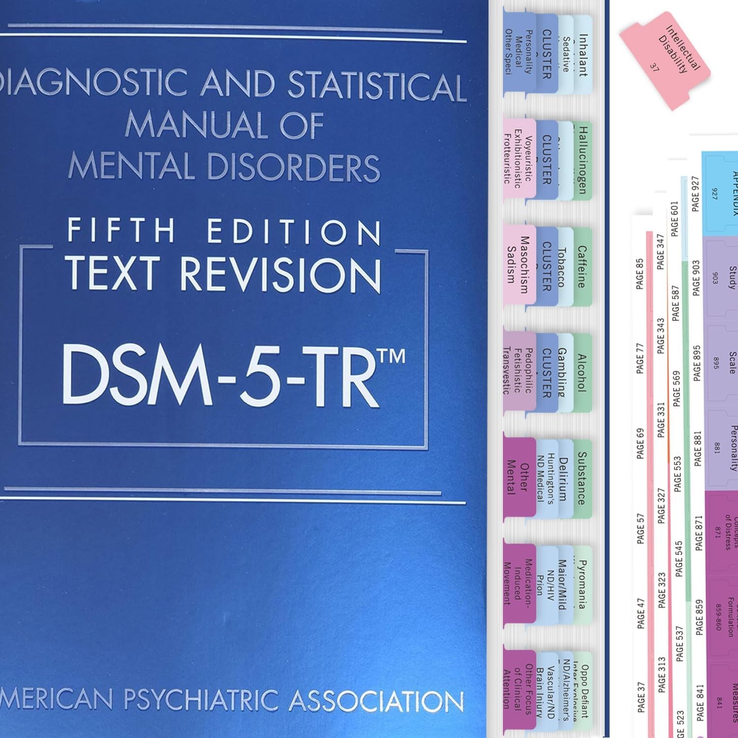 DSM-5-TR Index Tabs Printed Mental Health Workbook Study Aids DSM-V-TR Tabs 94