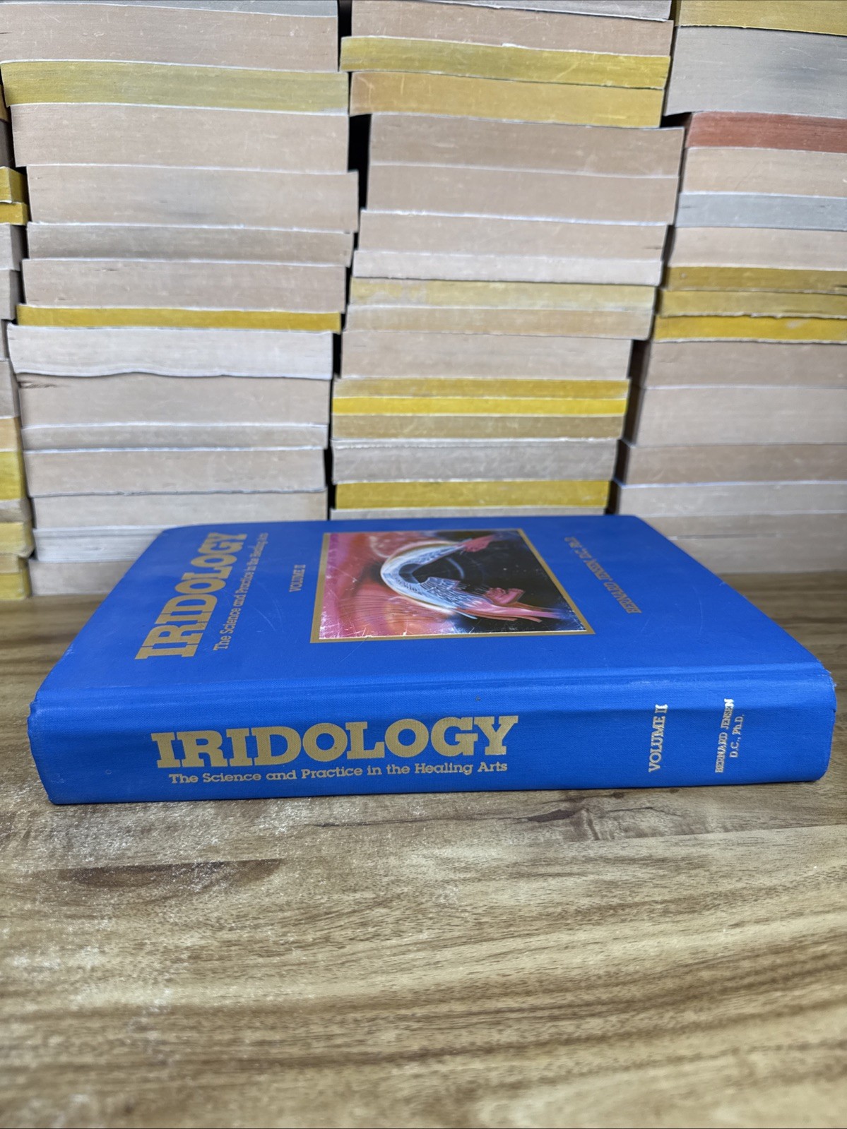 Iridology: The Science and Practice in the Healing Arts, Vol. 2 (1st Edition)