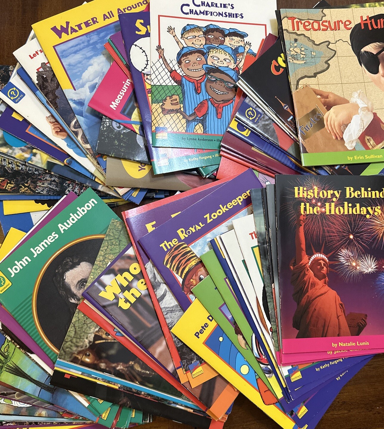 Lot Of 80 Leveled Readers F-M Benchmark Education Early Connections Homeschool