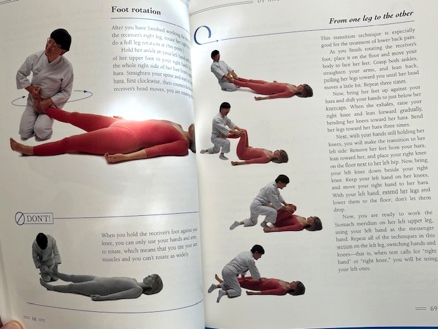 The Ohashi Bodywork Book, Beyond Shiatsu, Brand New/Like New, Fast Shipping!