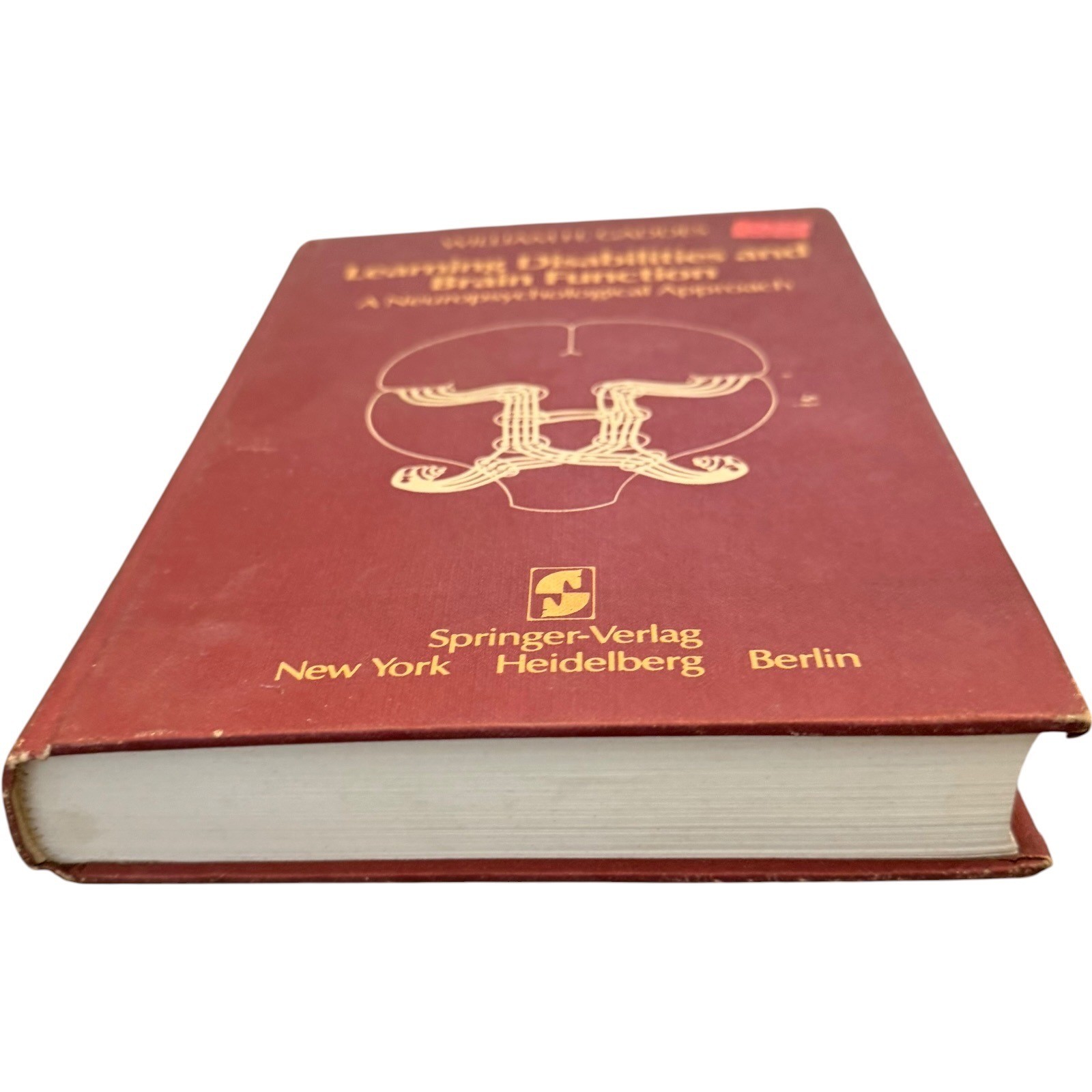 Springer Learning Disabilities and Brain Function Gaddes Hardcover 1980 Vintage