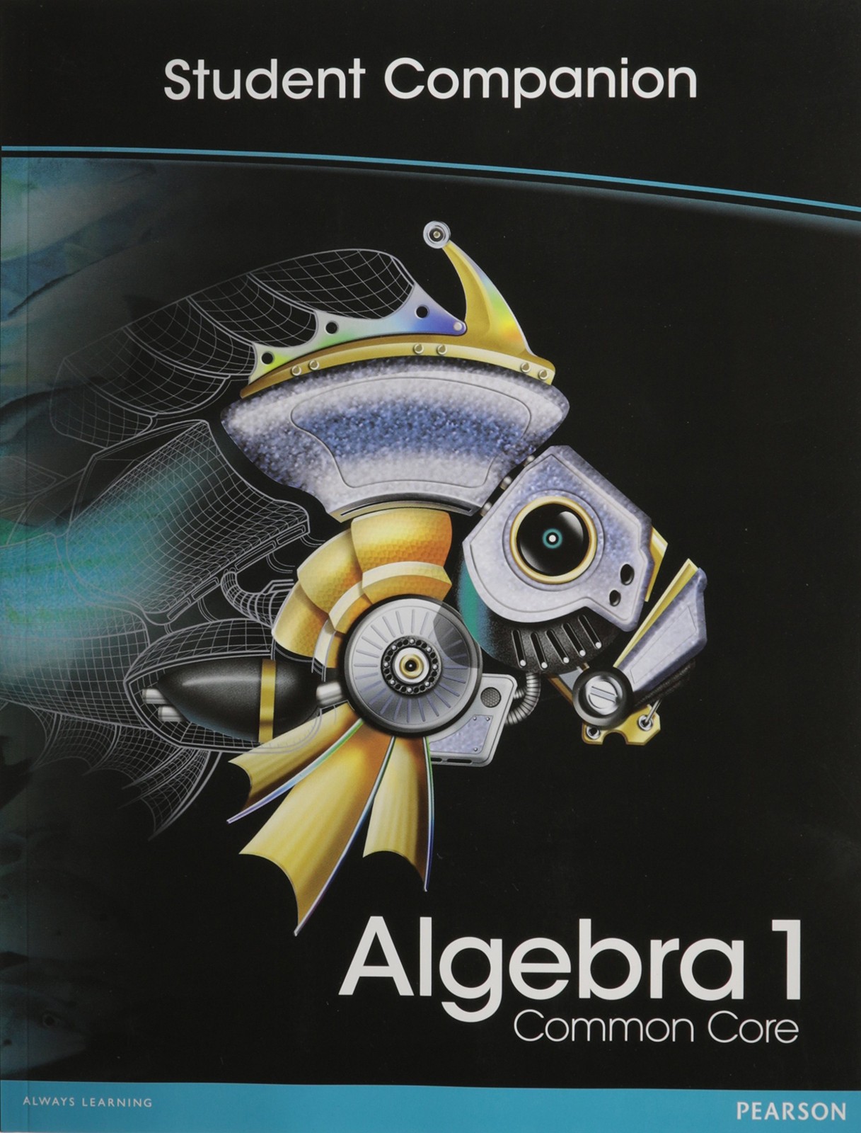 HIGH SCHOOL MATH 2012 COMMON-CORE ALGEBRA 1 STUDENT COMPANION BOOK GRADE8/9 …