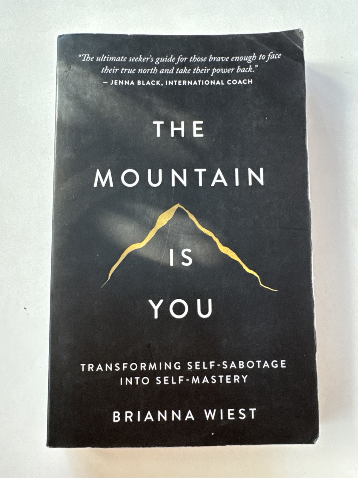 Mountain Is You : Transforming Self-Sabotage into Self-Mastery by Brianna Wiest
