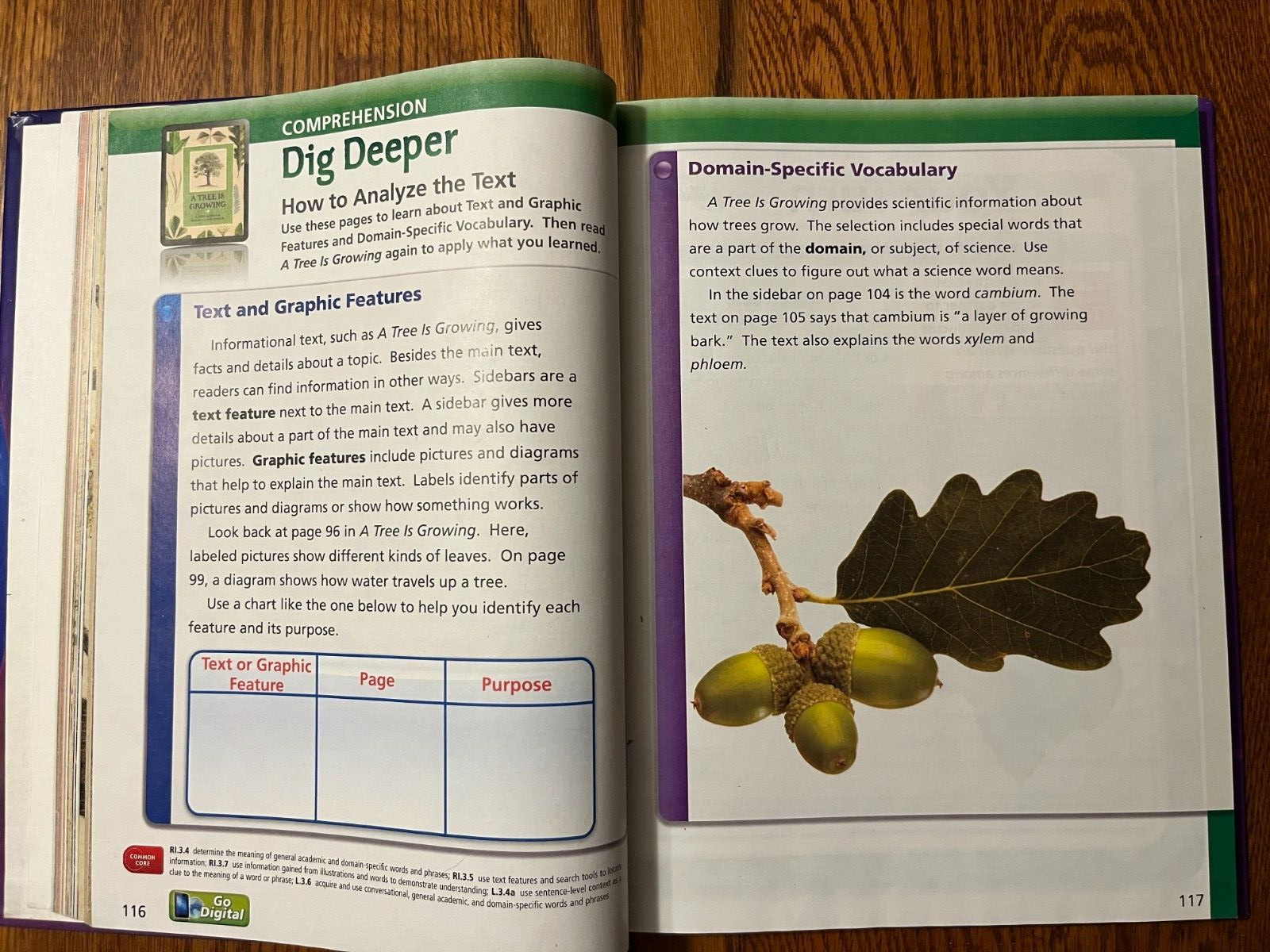 Journeys 3rd Grade 3 Student Reading Textbook, 3.2, 2014 HMH Homeschool Book