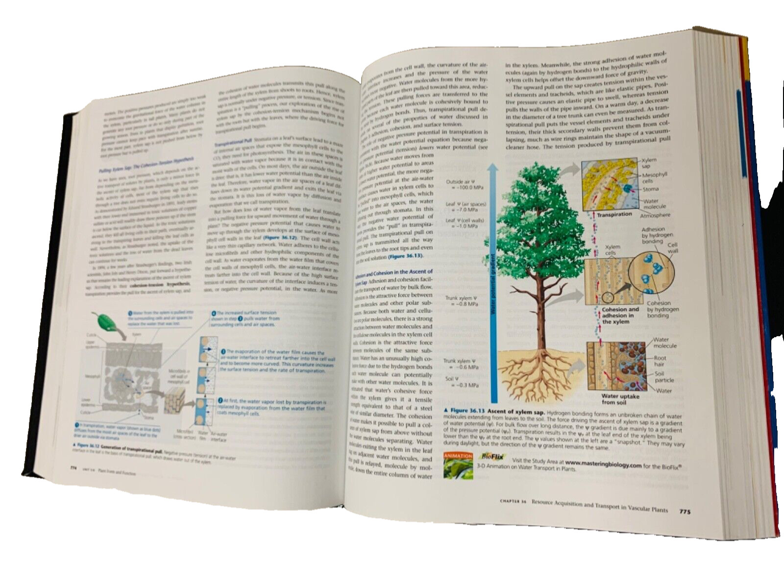 Ninth Edition Campbell Biology Reece, Jane B. Hardcover Great Condition