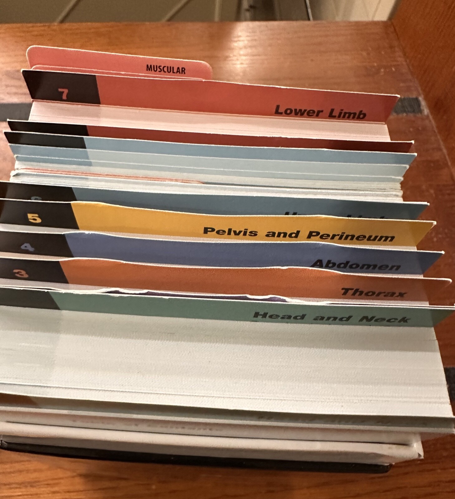 COMPLETE Netter’s Anatomy Flash Cards 3rd Edition by John T. Hansen