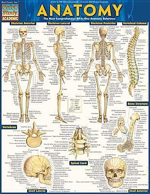QUICK STUDY “ANATOMY” Laminated All-in-One Reference ( 8.50″ x 10.75″ Folded) Nw