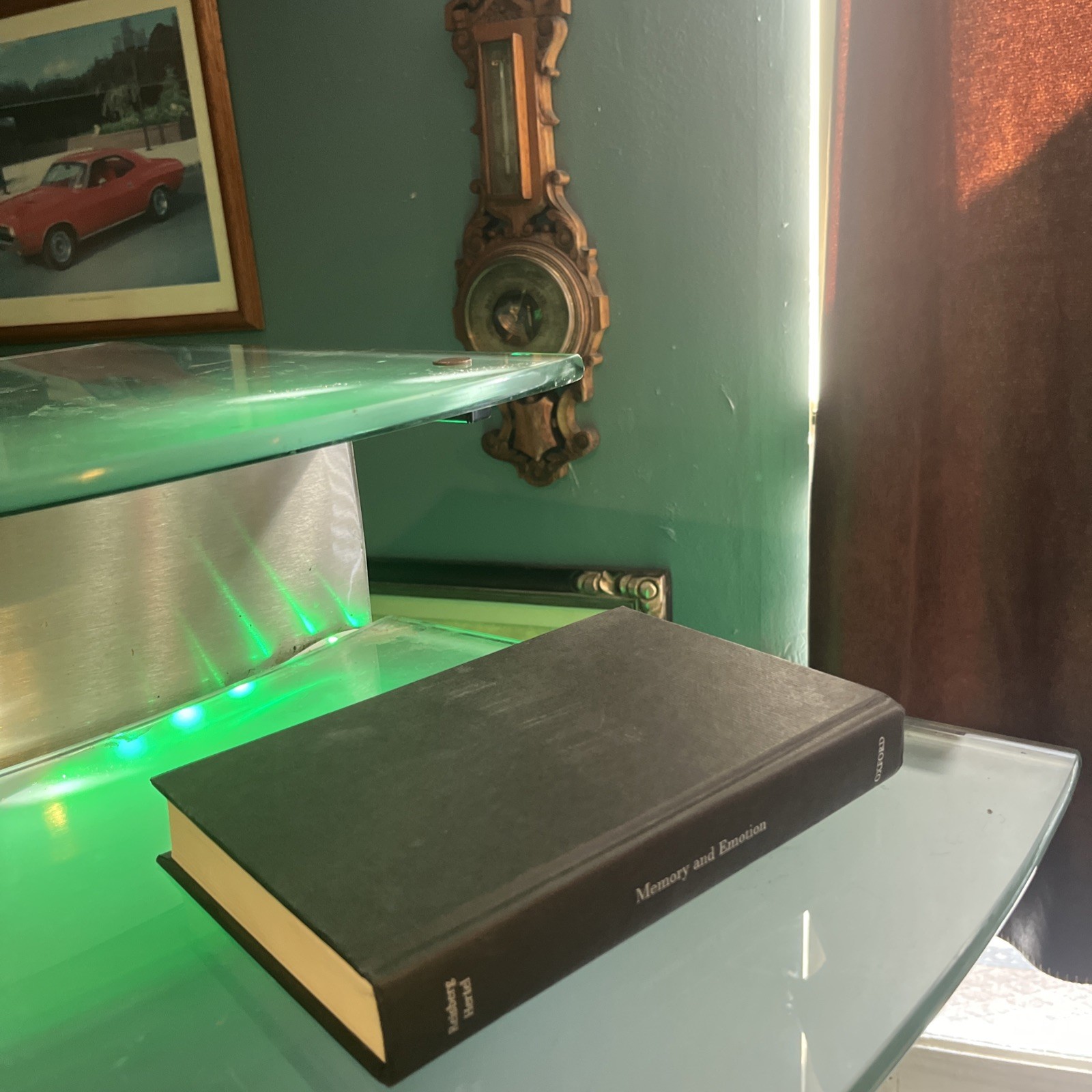 Memory and Emotion Hardcover