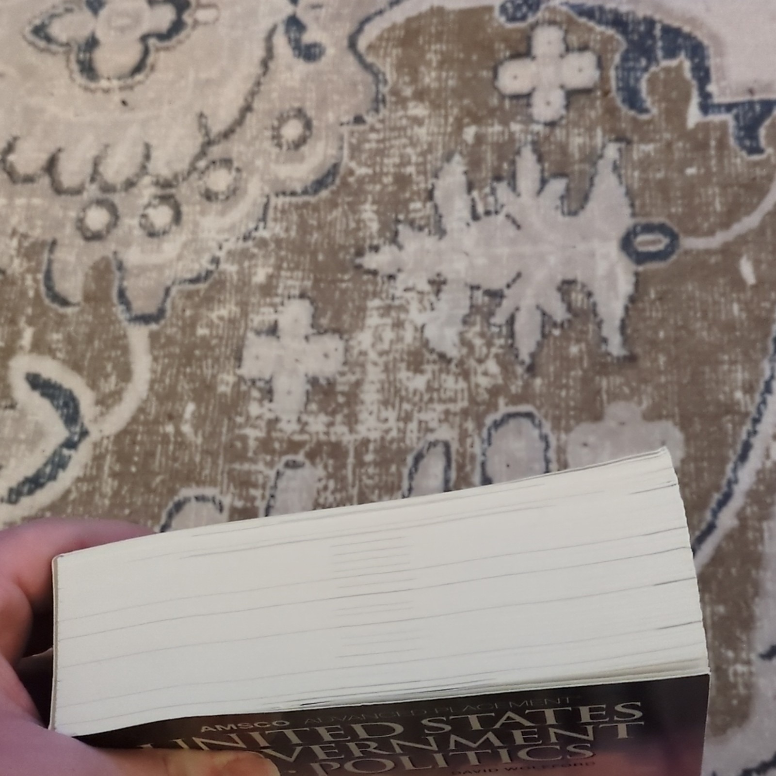 AMSCO AP United States Government & Politics 2019 Paperback Wolfford 704p