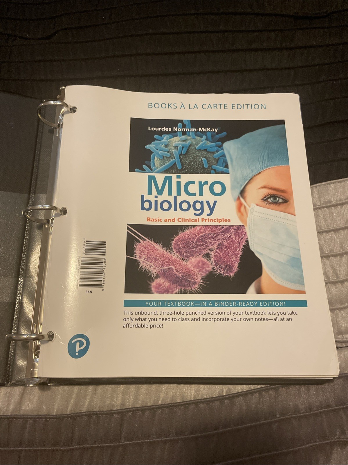 Microbiology Basic & Clinical Principles by Lourdes Norman-McKay in Binder