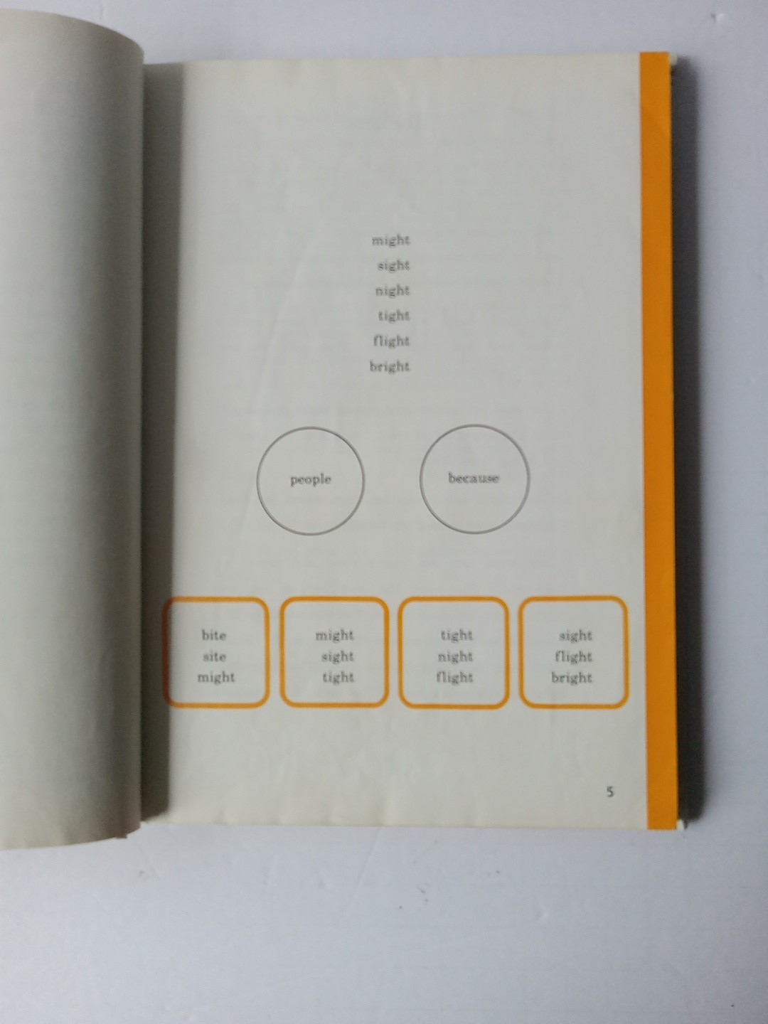 Merrill Reading Program Level G TAKE FLIGHT Reader HC Homeschool Dyslexia