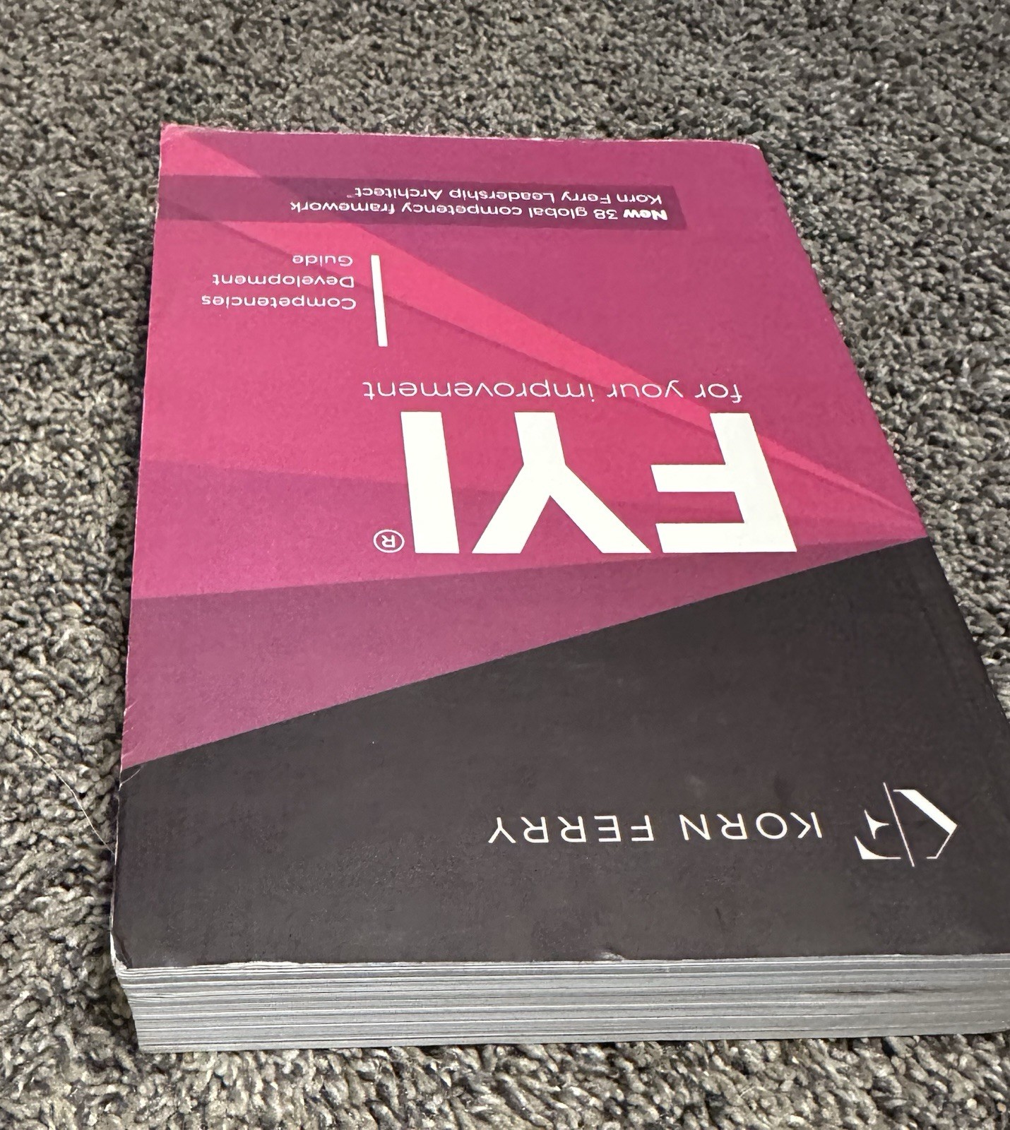 Korn Ferry – FYI for your improvement Competencies Development Guide
