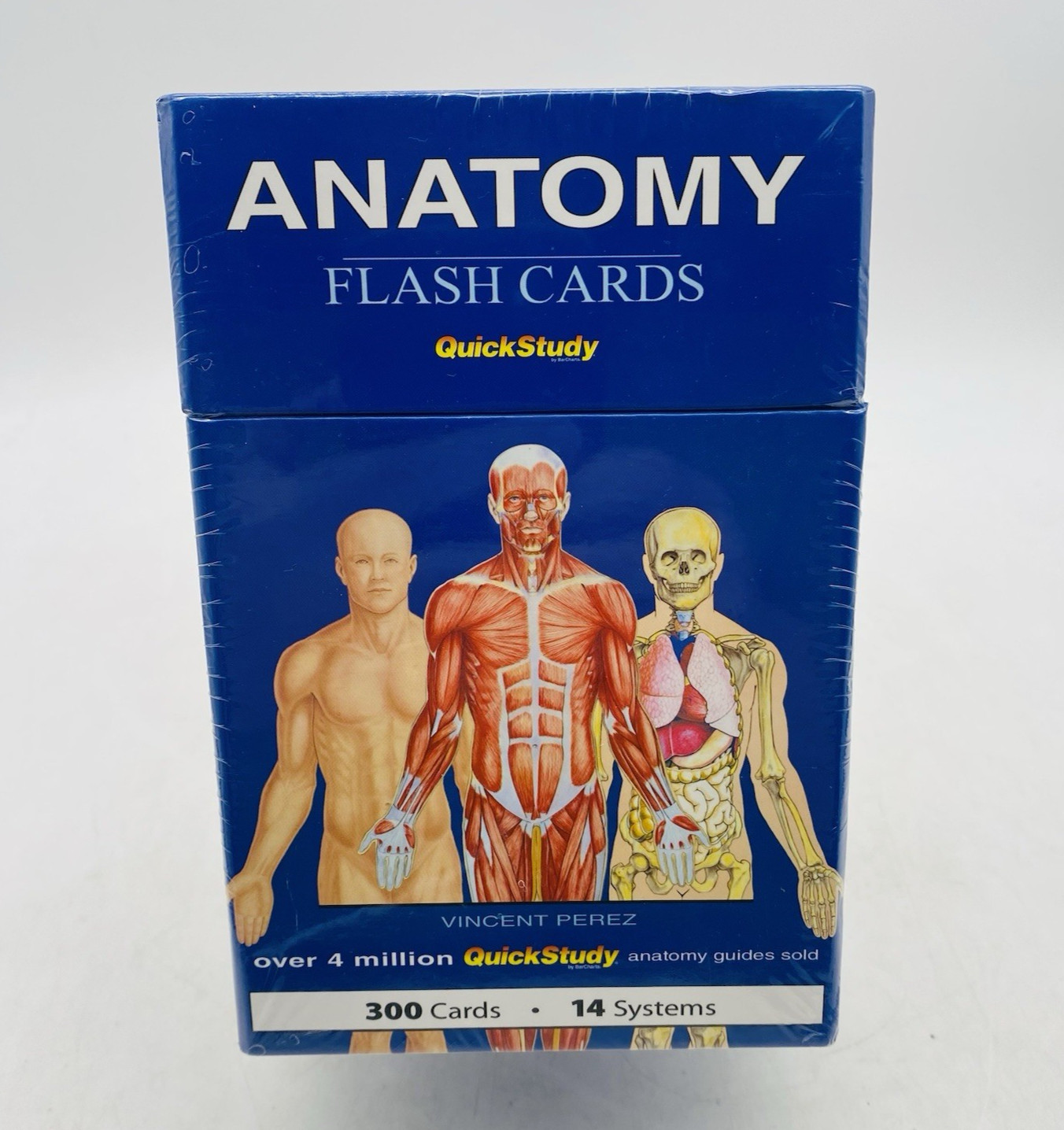Anatomy Flash Cards 300 Cards 14 Systems Quick Study NEW SEALED