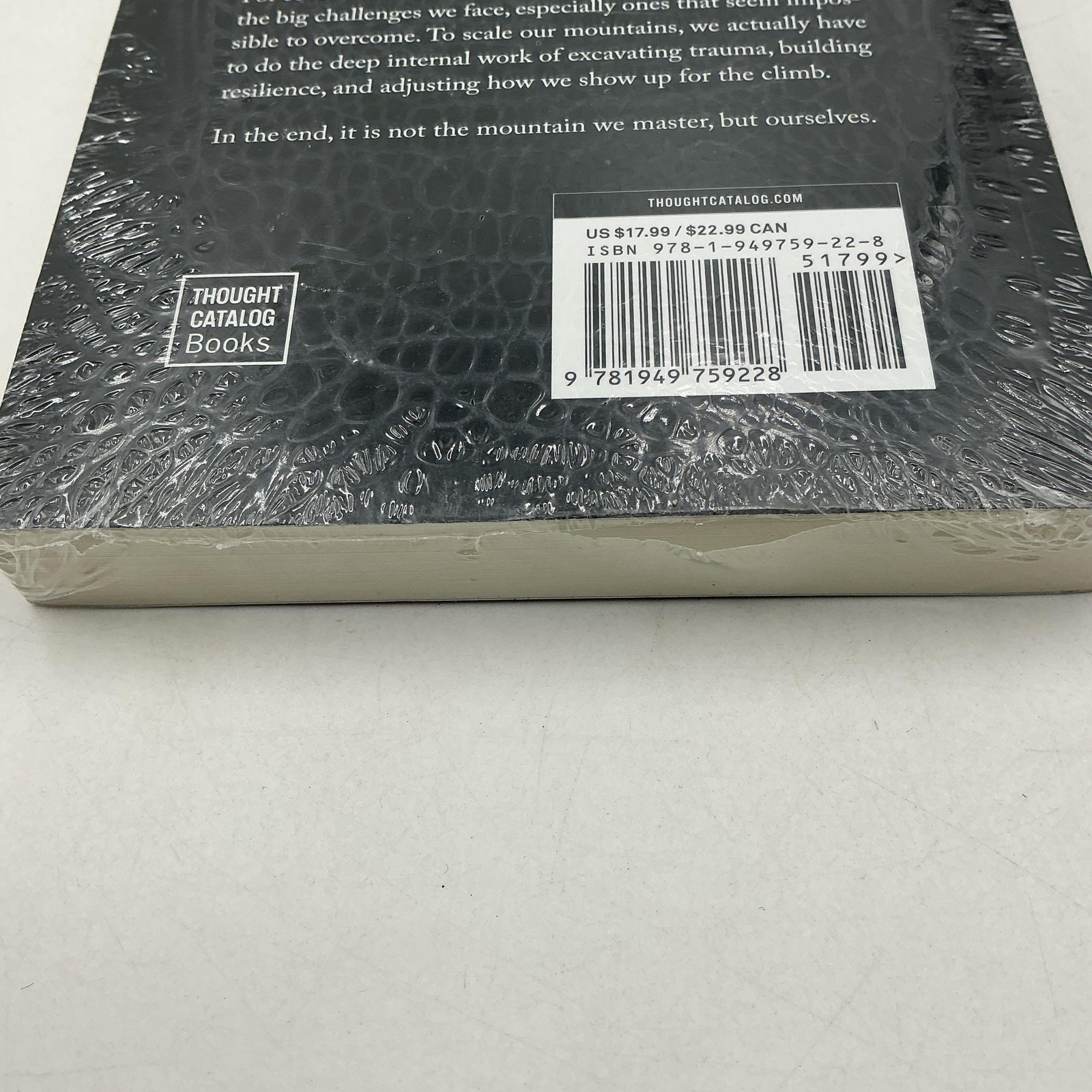 The Mountain Is You Brianna Wiest Black Trade PB 2020 Thought Catalog Self-Help