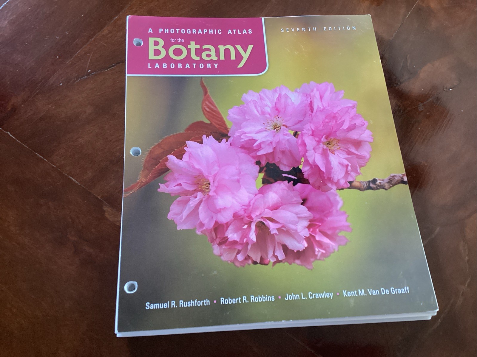 Photographic Atlas for the Botany Laboratory, 7th Edition (2016, Ringbound)