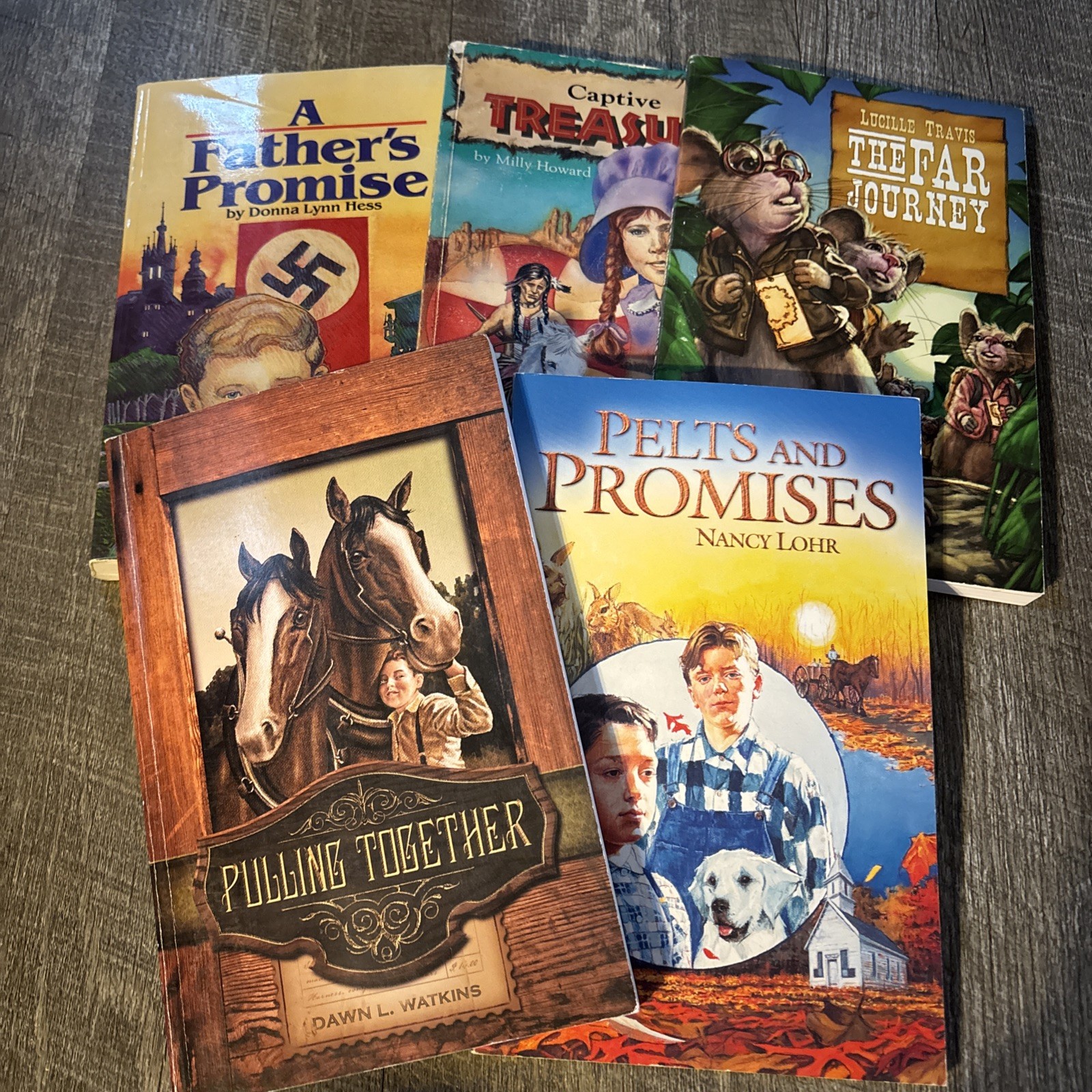 Journey Fourth Readers Set of 5 BJU Press Bob Jones Homeschool JourneyForth