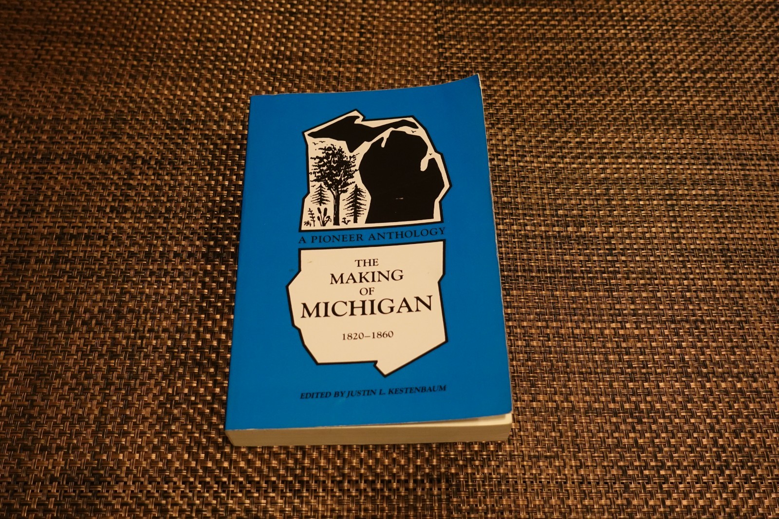 Making of Michigan, 1820-1860 : A Pioneer Anthology (1990 Paperback Book)