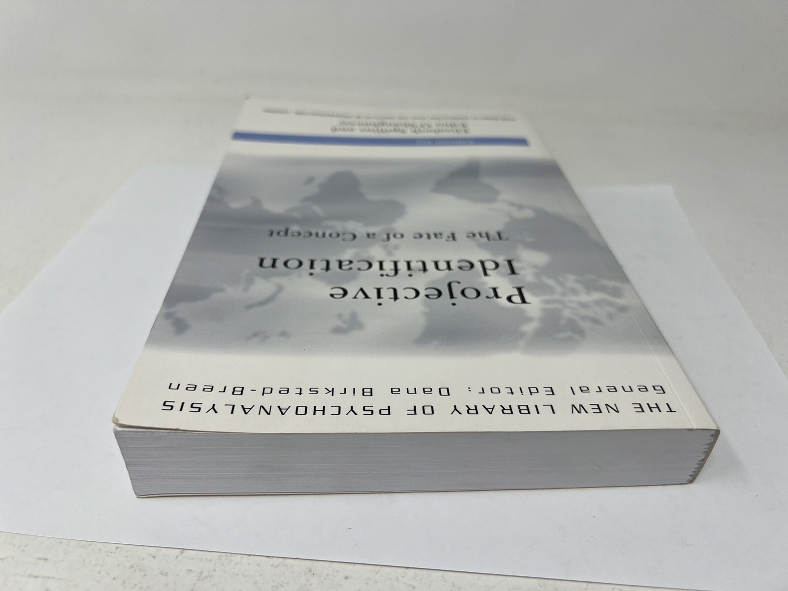 Projective Identification : The Fate of a Concept by Spillius (Paperback, 2012)