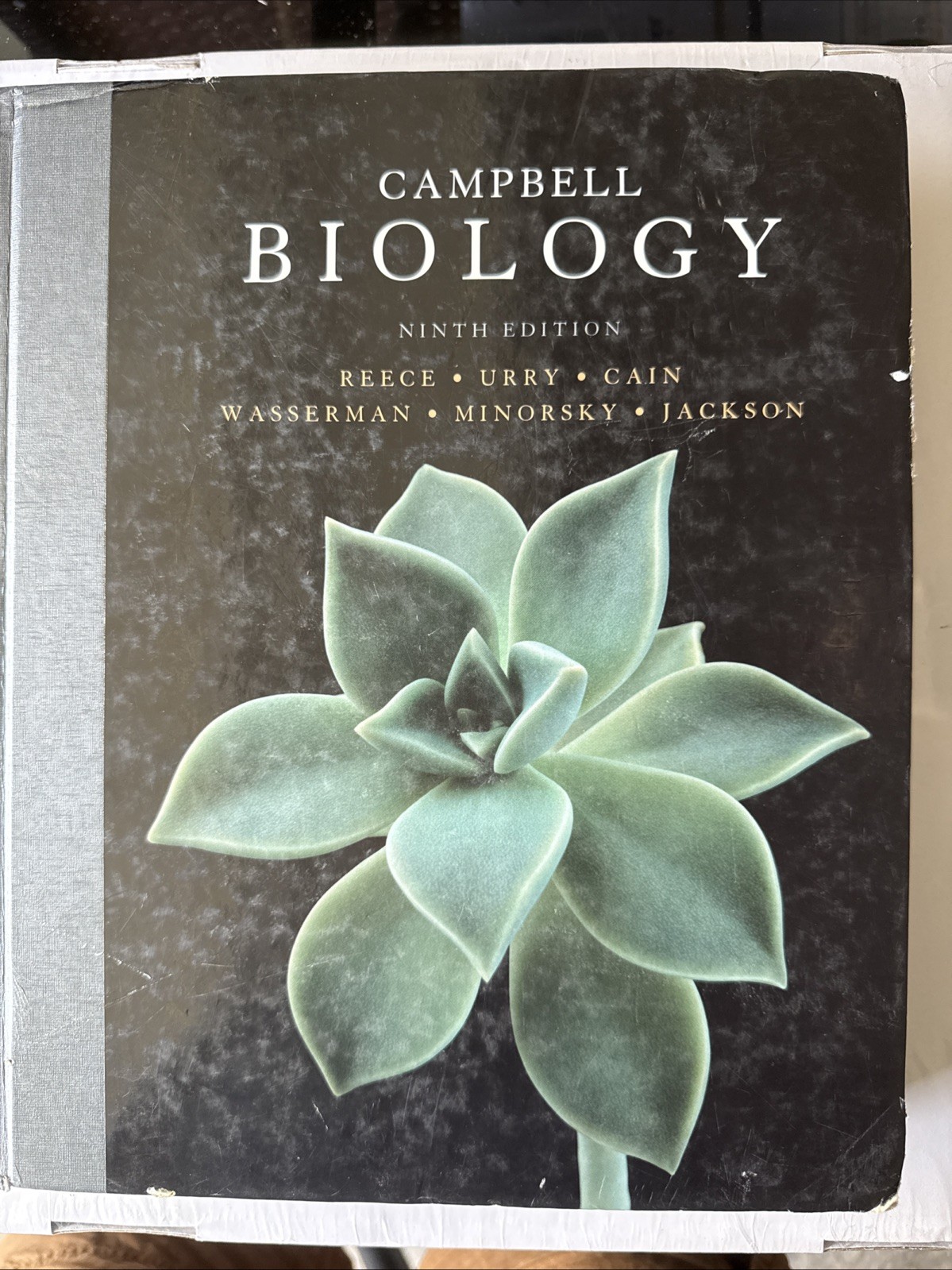 Campbell Biology by Peter V. Minorsky, Robert B. Jackson, Michael L. Cain,