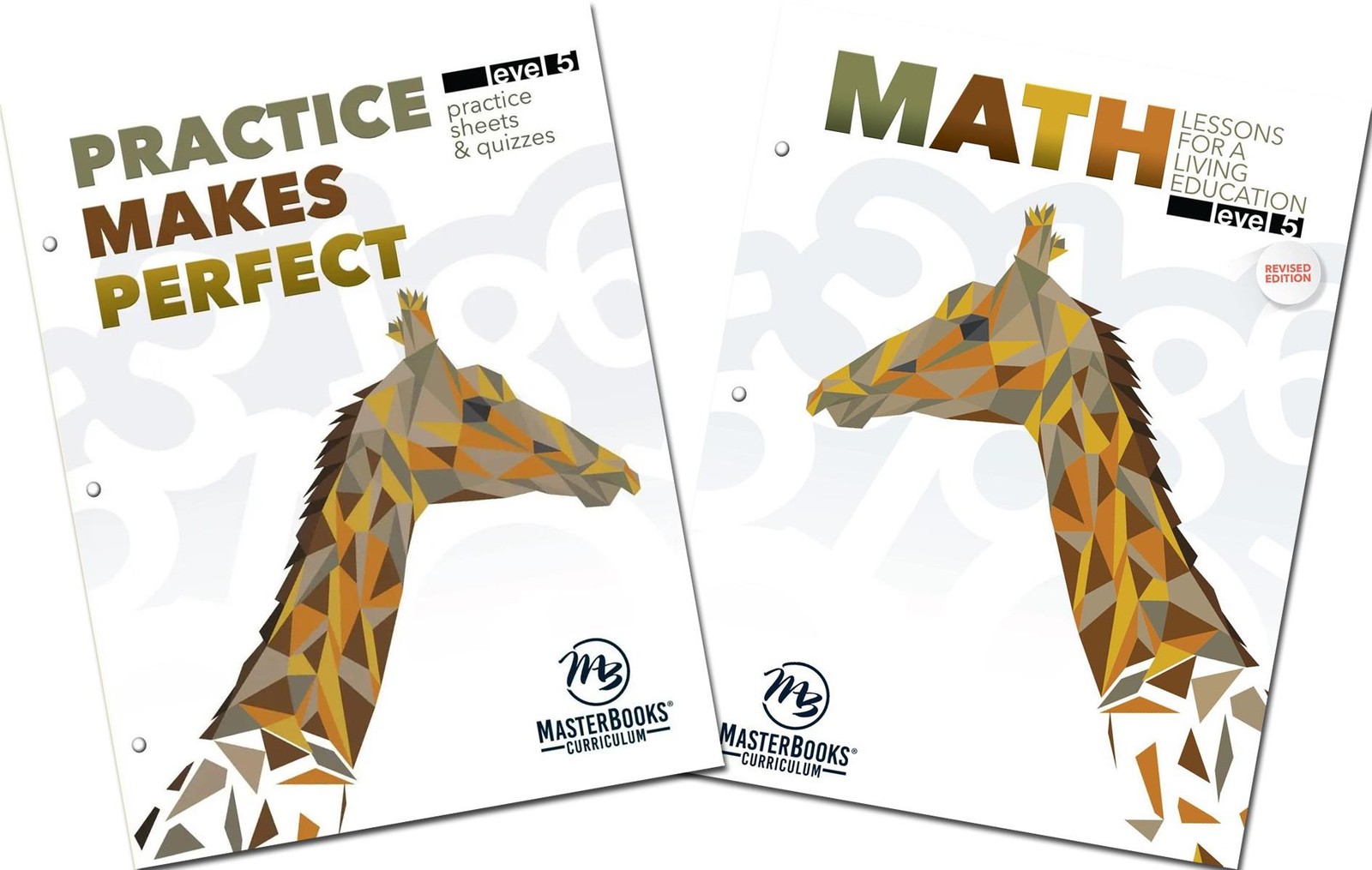 New Master Books MATH Lessons Living Education Level 5 & PRACTICE Makes Perfect