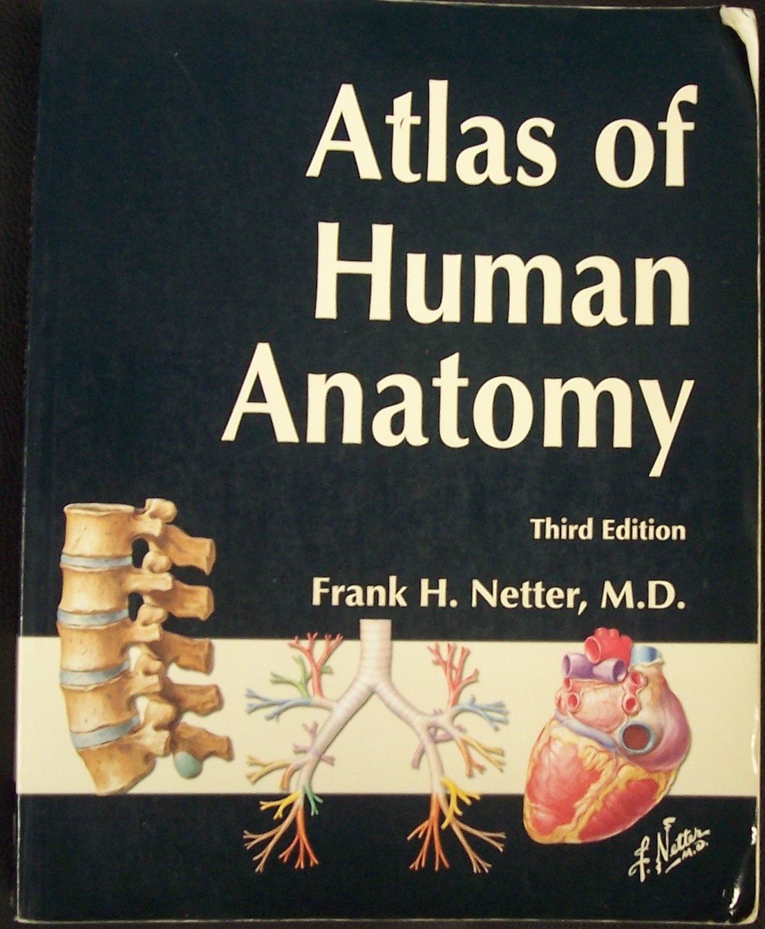 Atlas of Human Anatomy, Third Edition – paperback John T. Hansen|Frank H. Ne…