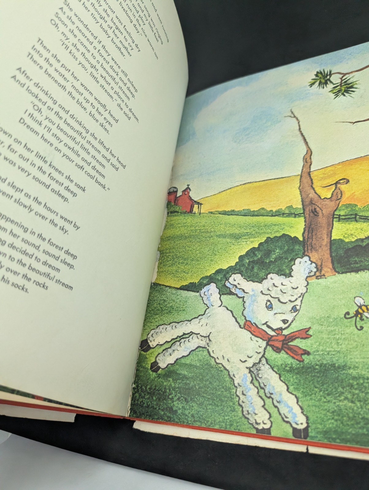 Book Penelope, The Little Lamb by hope Ross Anderson Signed 1964 1st Edition