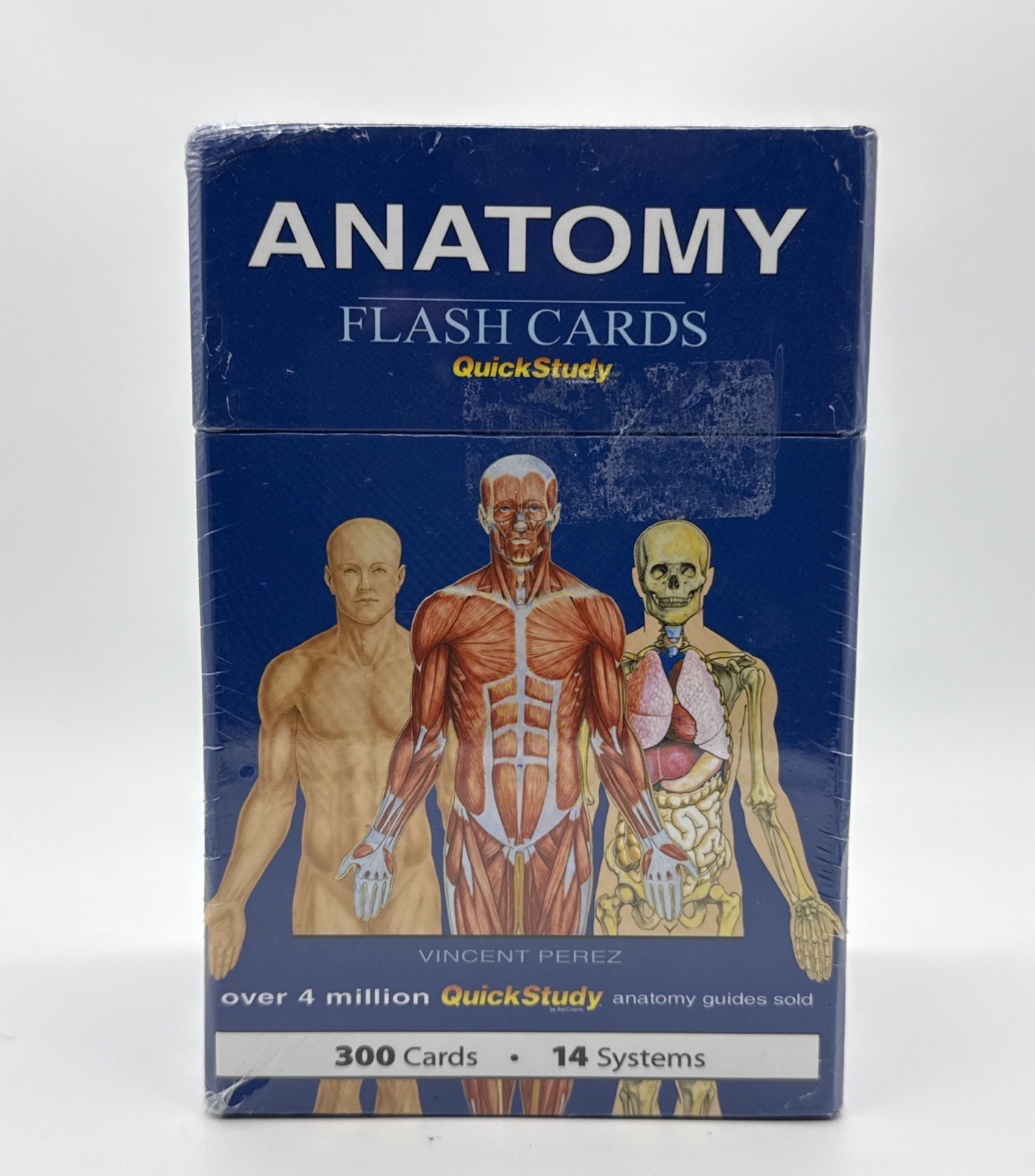 Anatomy Flash Cards 300 Cards 14 Systems Quick Study NEW SEALED