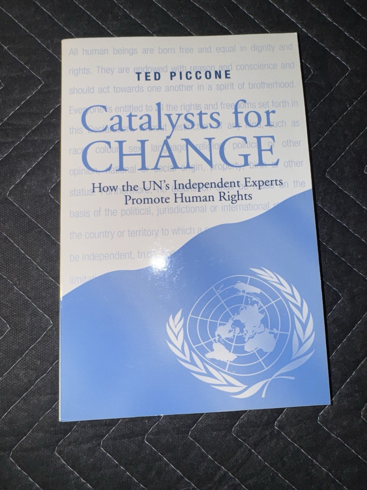 Catalysts for Change How the U. N.’s Independent Experts Promote Human Rights