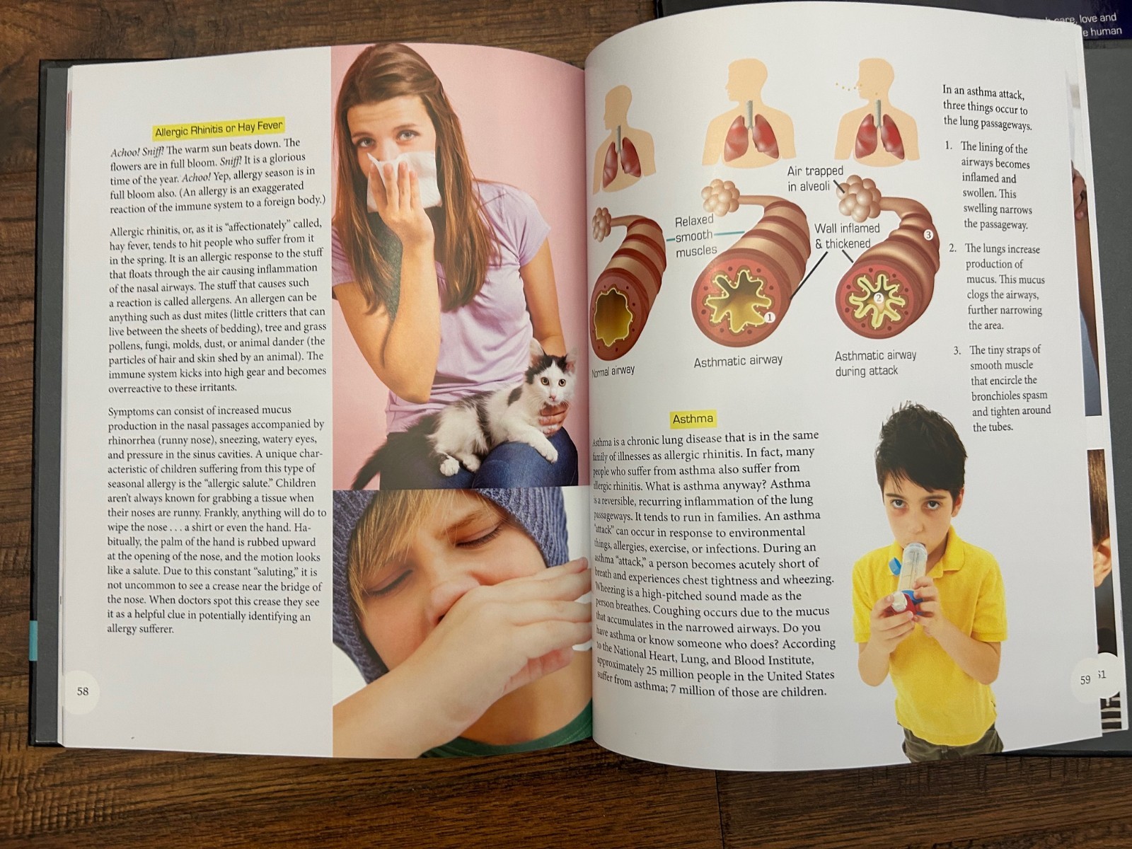 MasterBooks-HOMESCHOOL Elementary Anatomy: Nervous & Respiratory System text WB