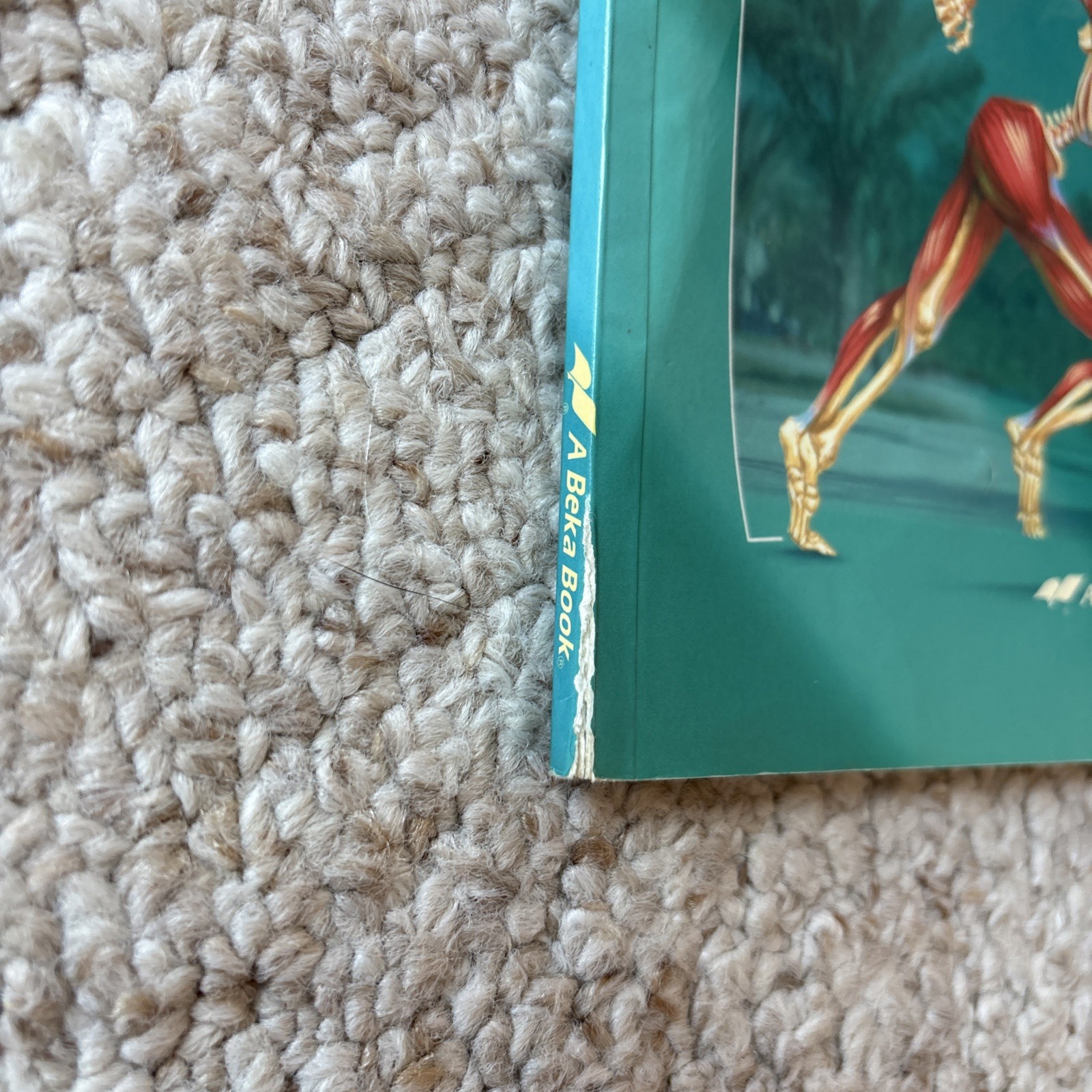 A Beka DEVELOPING GOOD HEALTH 2nd Edition ABEKA 4th Grade Health Book 1998