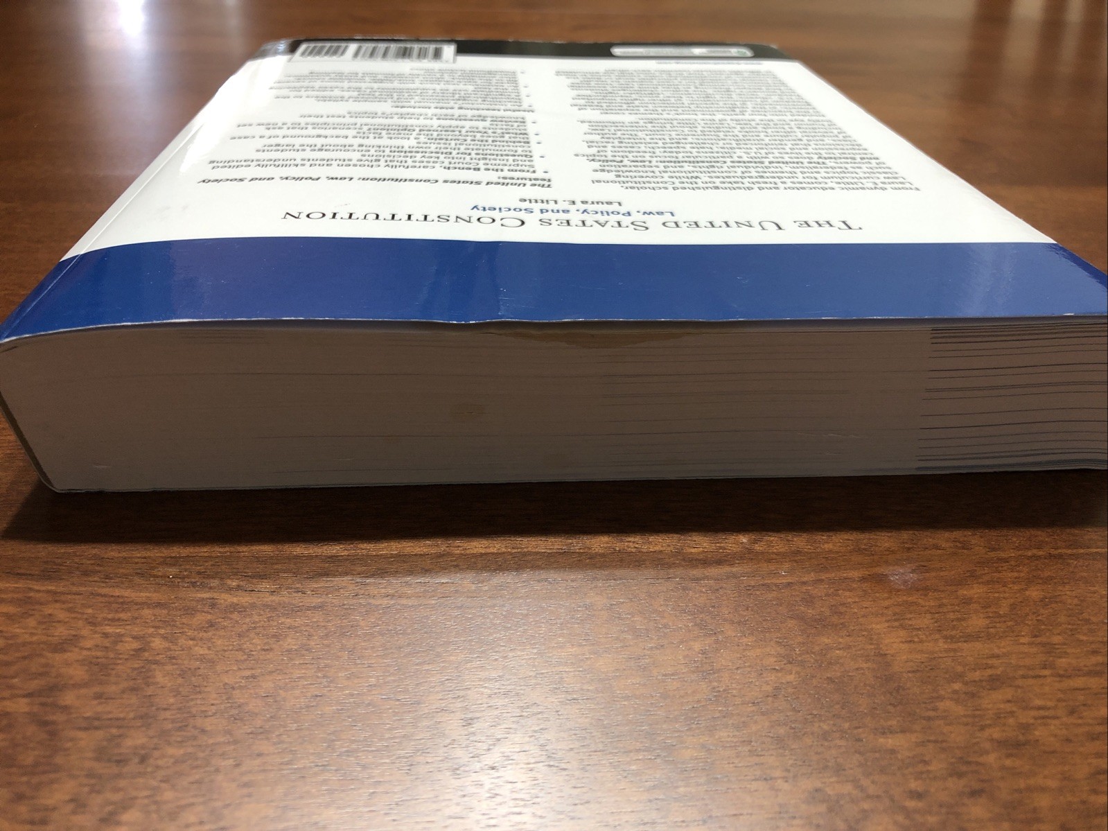 The United States Constitution : Law, Policy, and Society (Laura E. Little)