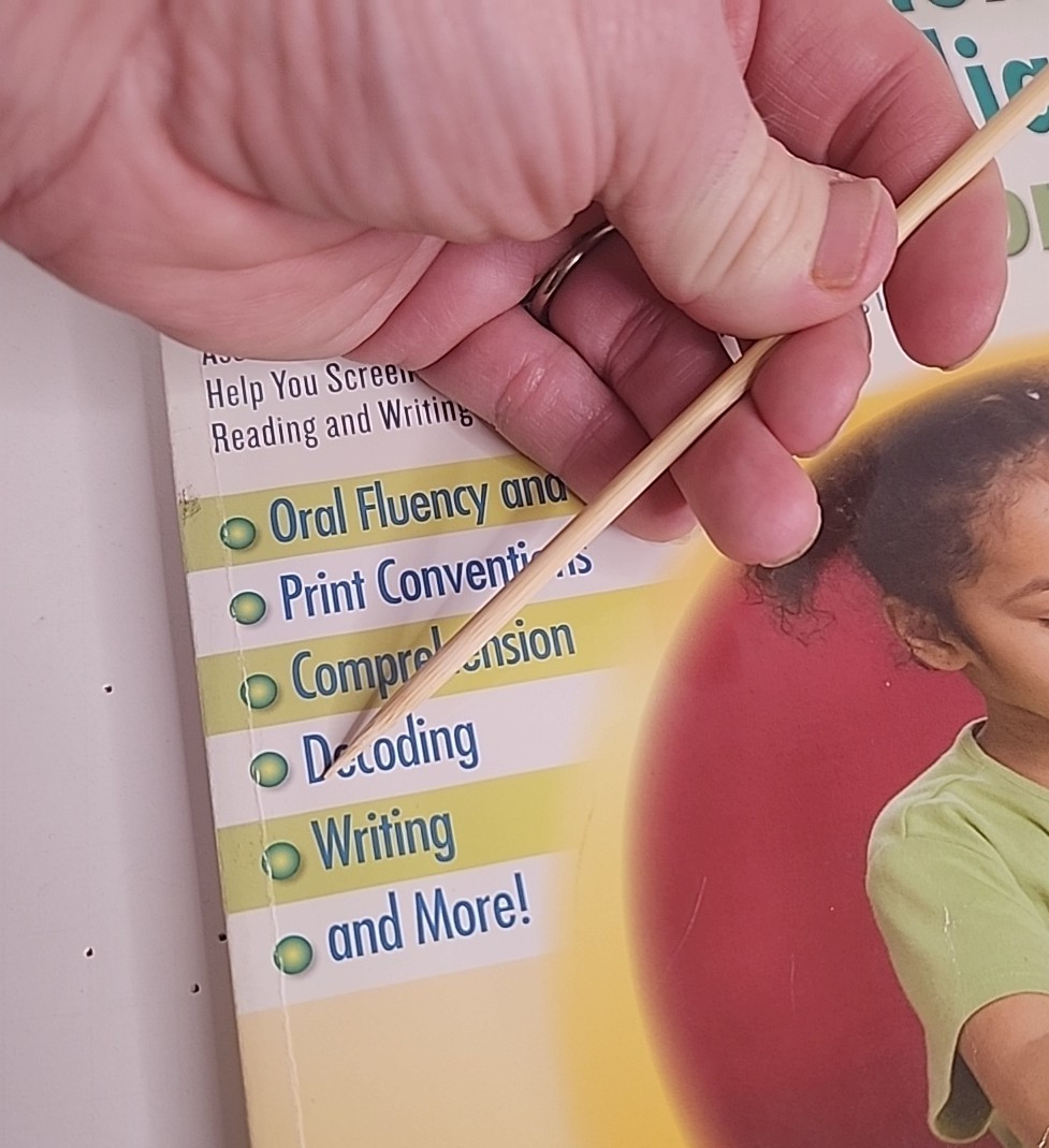 Scholastic RTI Assessments & Remediation for K-2 Brenda Weaver 256 Pages Teacher