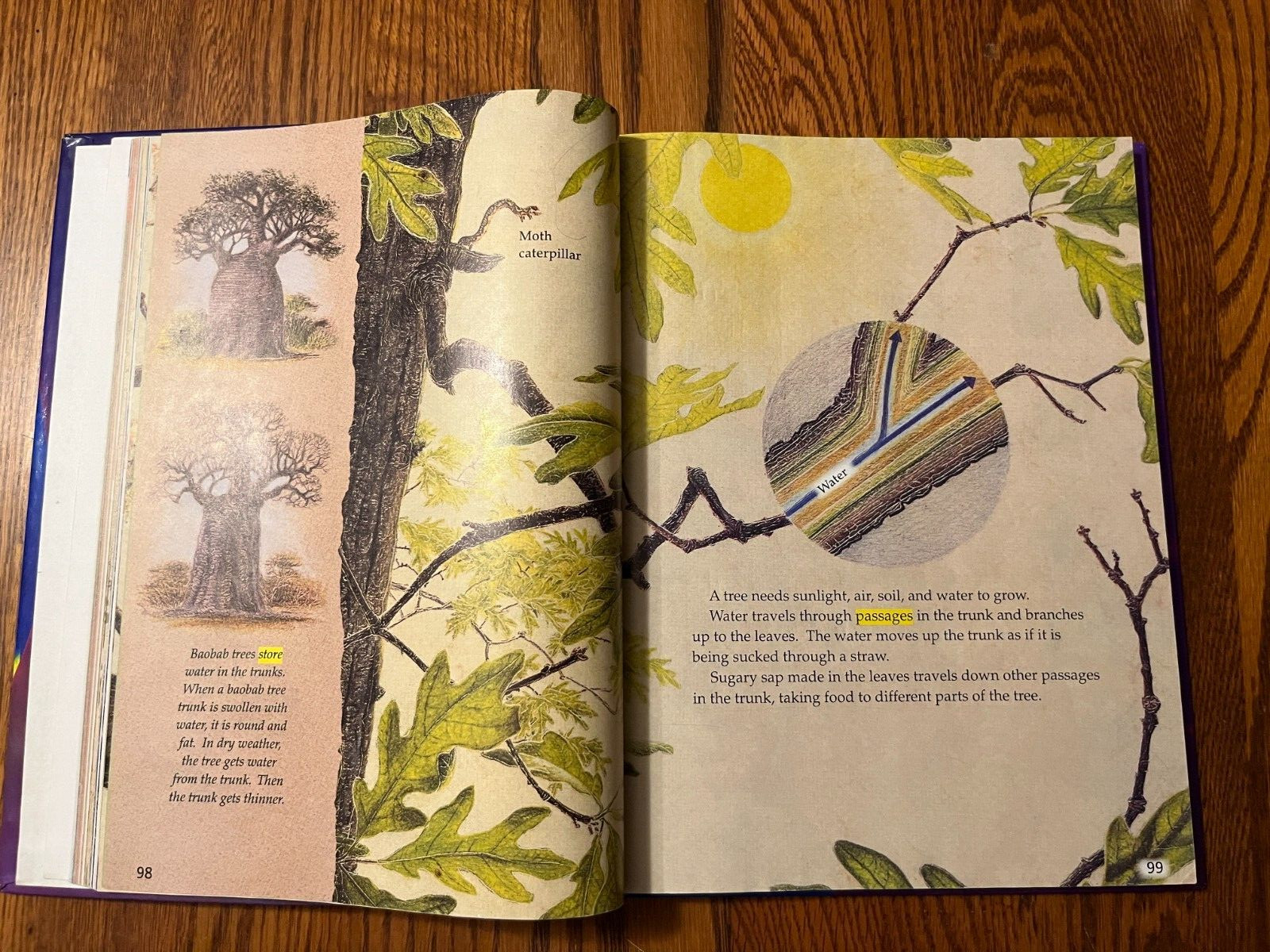Journeys 3rd Grade 3 Student Reading Textbook, 3.2, 2014 HMH Homeschool Book