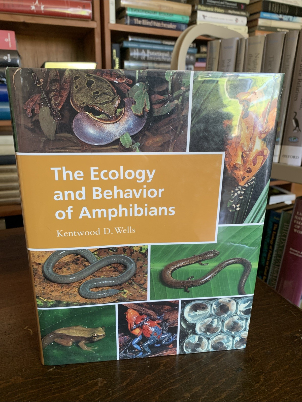 Ecology and Behavior of Amphibians by Kentwood D. Wells (2007, Hardcover)
