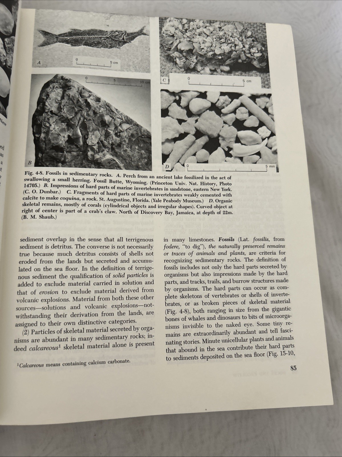 Physical Geology, Longwell; John Wiley & Sons c. 1969