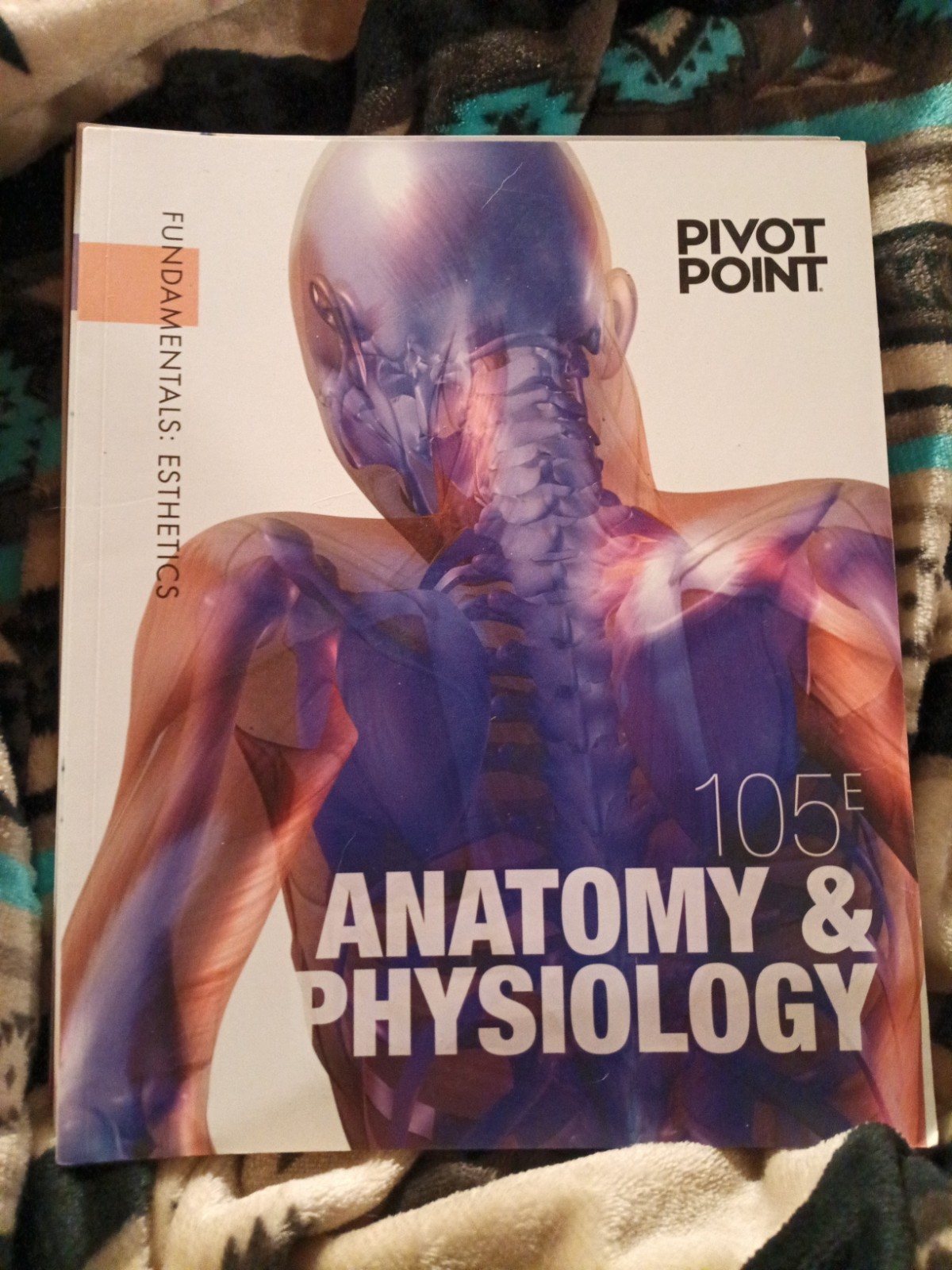 Pivot Point Fundamentals: Esthetics Complete Coursebook Set – 11 Books