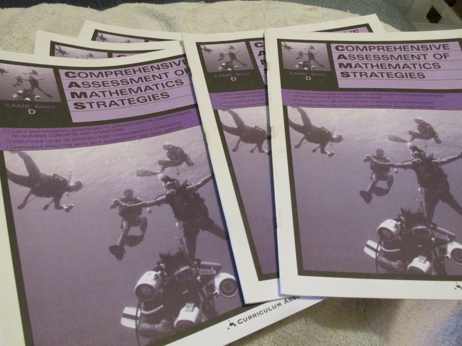 i-Ready Curriculum Associates Mathematics Strategies PB Work Books NEW Lot of 4