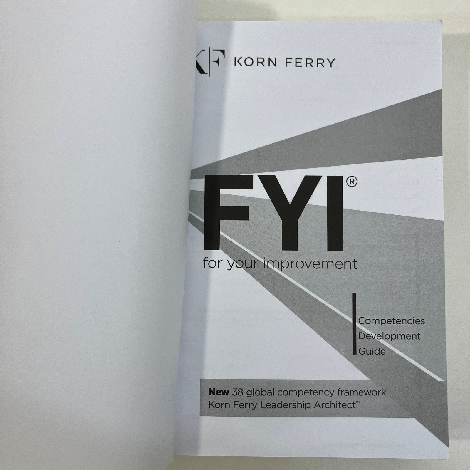 FYI For Your Improvement Competencies Development Guide by Korn Ferry 2014 TPB