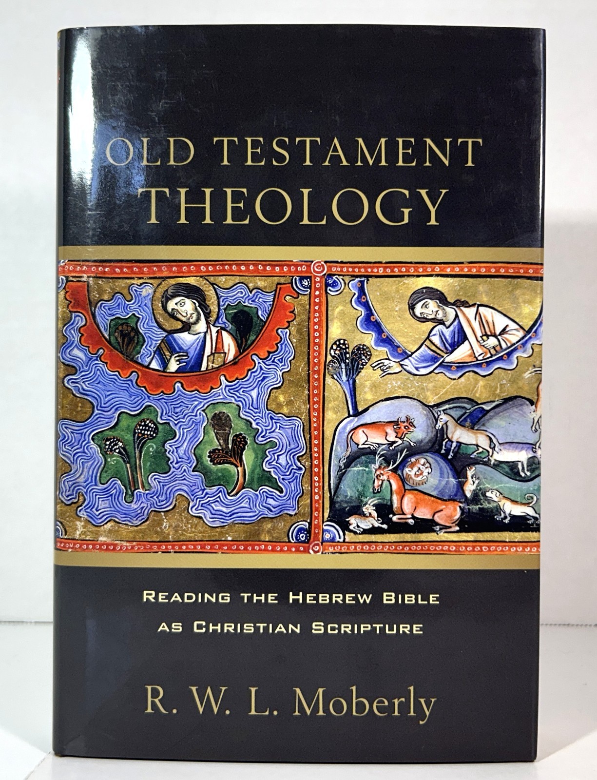 Old Testament Theology: Reading the Hebrew Bible by RWL Moberly 2013 Hardcover