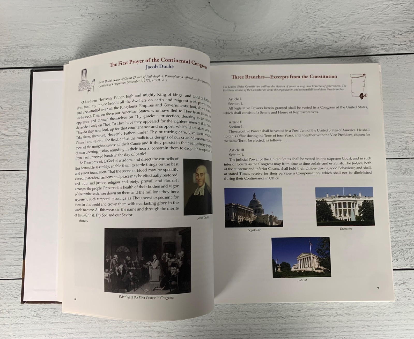Notgrass The Citizen’s Handbook Civics in Action Hardcover Book Homeschool Text