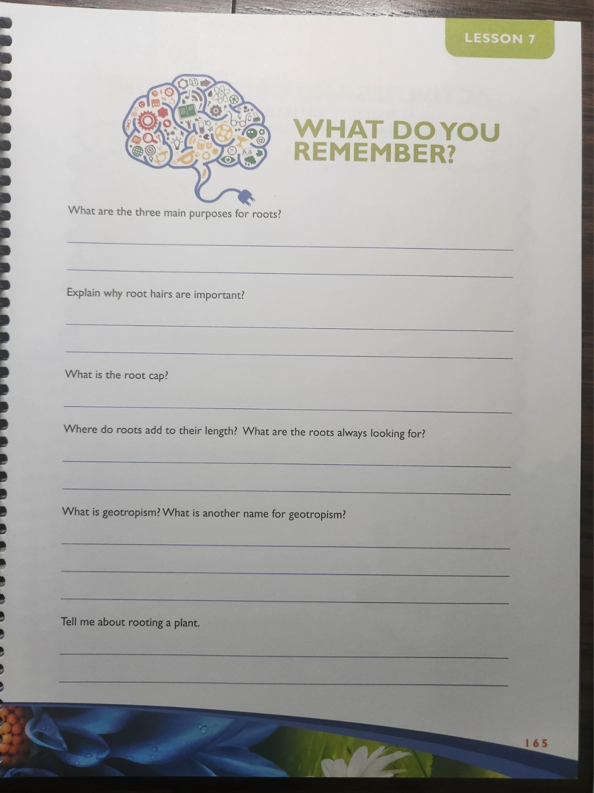 Exploring Creation with Botany Notebooking Journal 2009 Spiral 2nd Edition