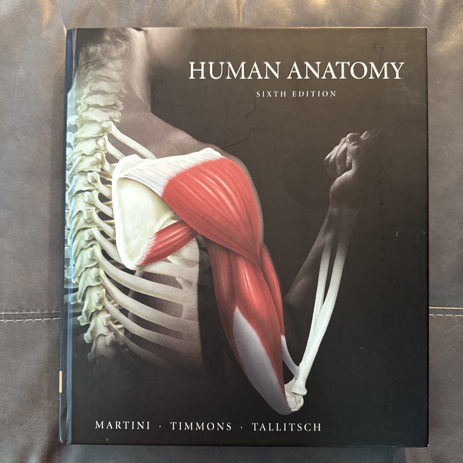 Human Anatomy (6th Edition) – Hardcover By Martini, Frederic H.