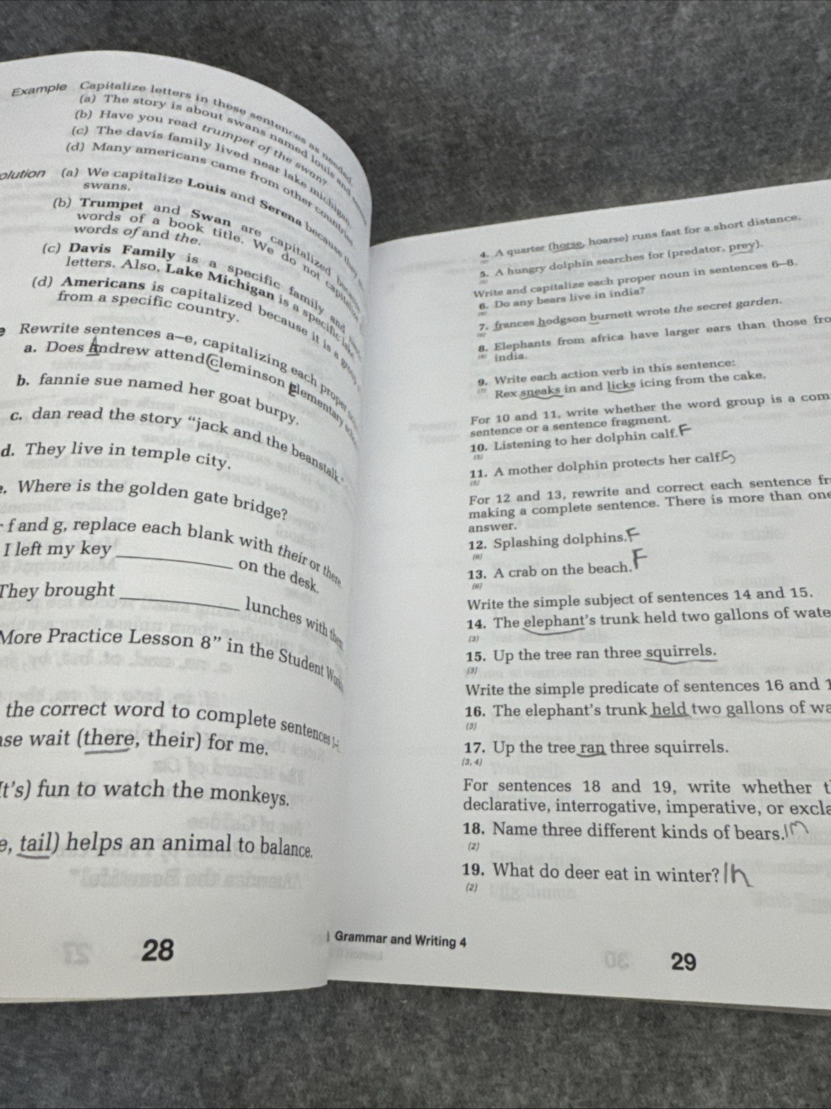 Grammar & Writing Ser.: Saxon Grammar & Writing Grade 4 Student Textbook by Text