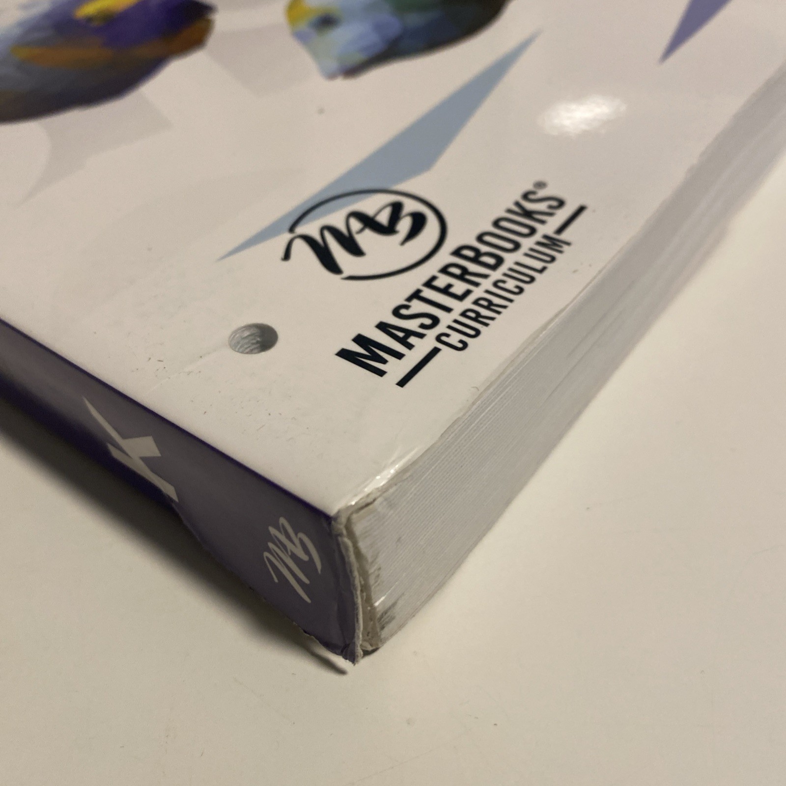Math Lessons for a Living Education: Level K [Master Books]