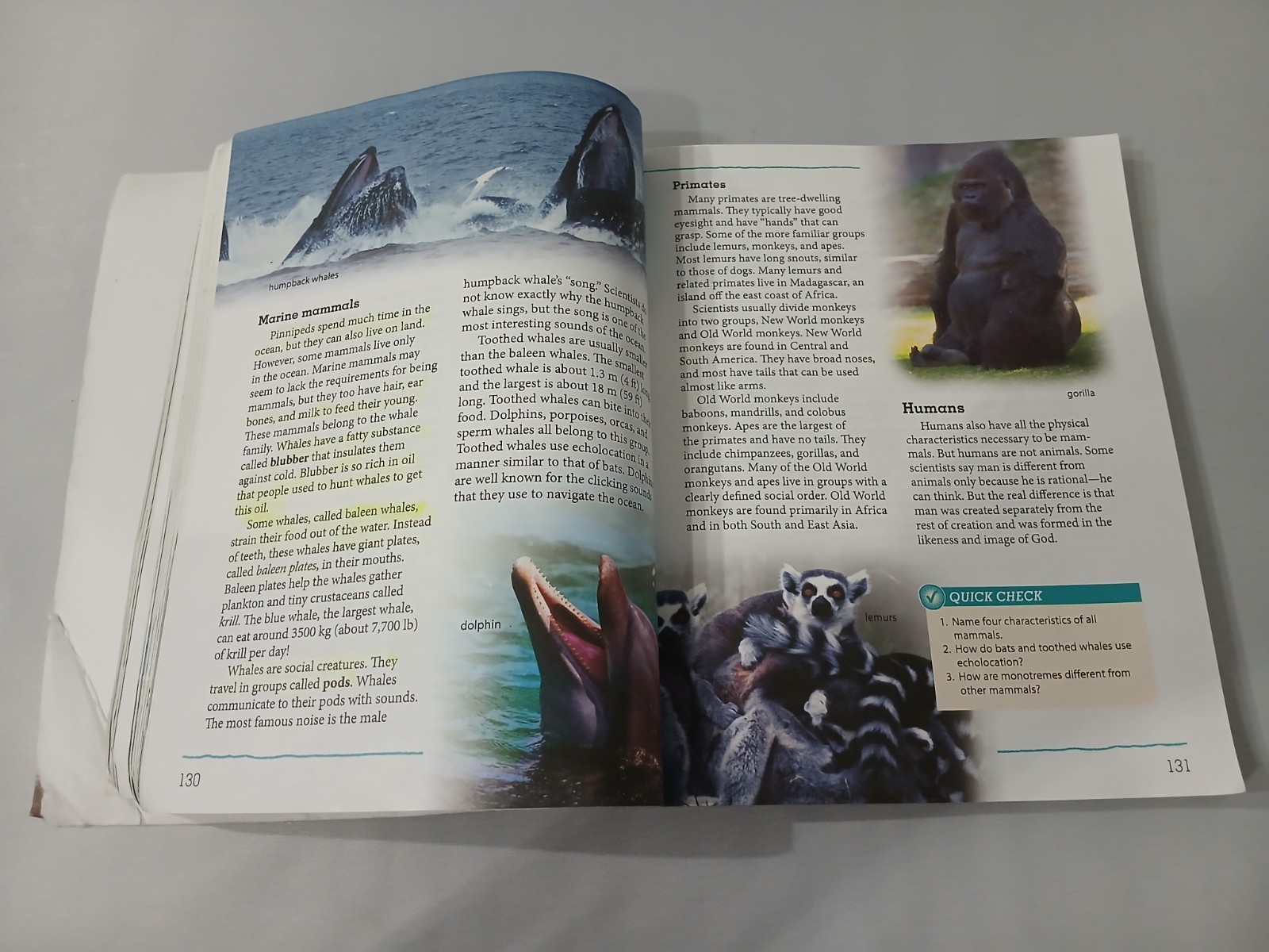 BJU Press SCIENCE 6 Student Textbook 522391 Bob Jones Text CURRENT 4th Ed
