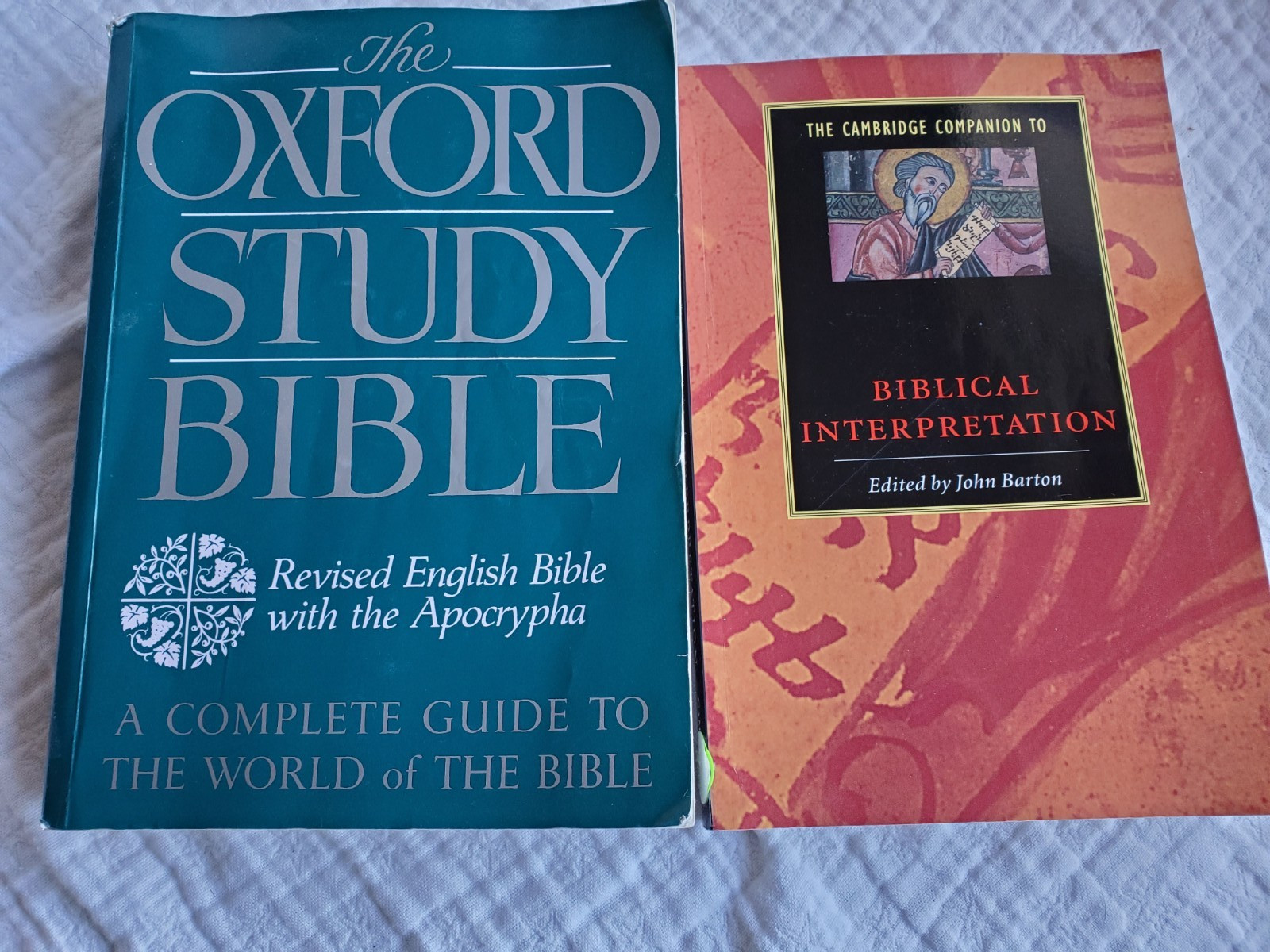 Oxford Study Bible Ed. Suggs & Cambridge Companion to Biblical Interpretation PB